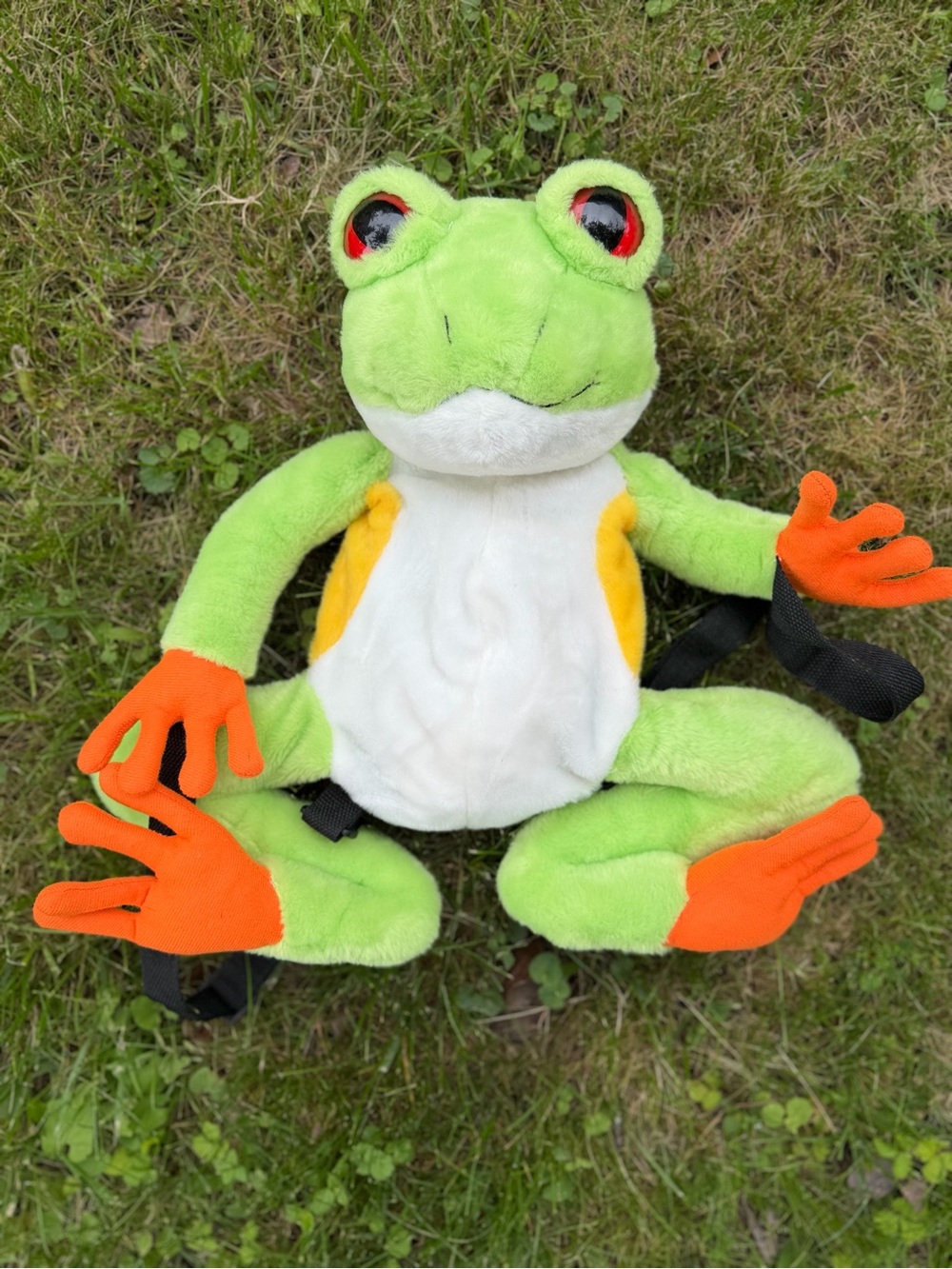 Vintage Frog Backpack
